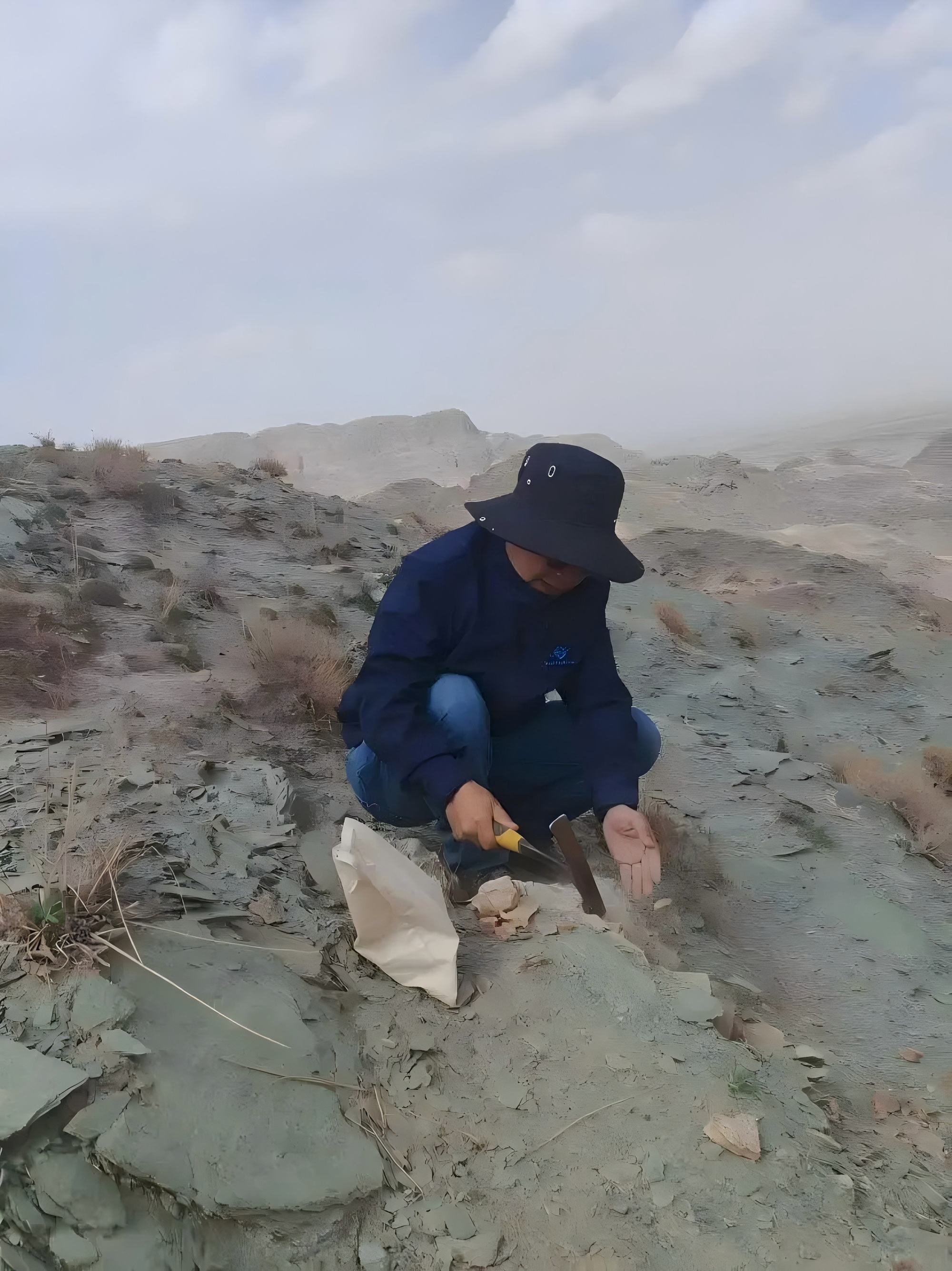 Gaia Exploration geologist inspecting and sampling a field outcrop.