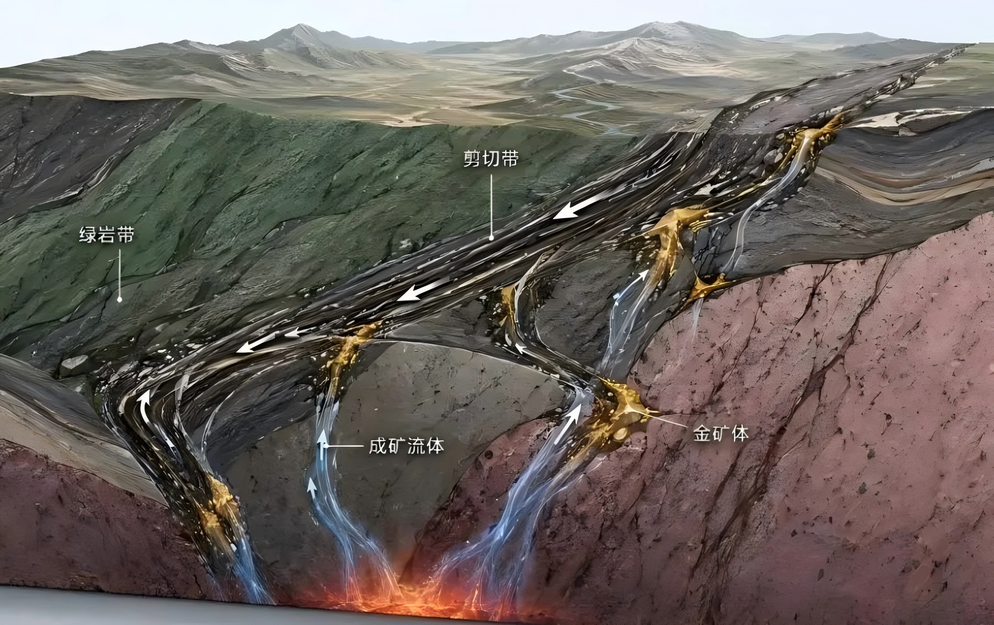 Schematic of shear-zone-hosted gold mineralization and ore-fluid migration.